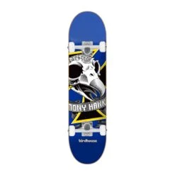 Birdhouse Oversize Skull Complete