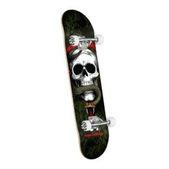 Powell Peralta Skull And Snake Complete