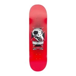 Birdhouse Hawk Skull Deck