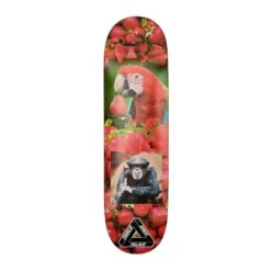 S38 Charlie Deck