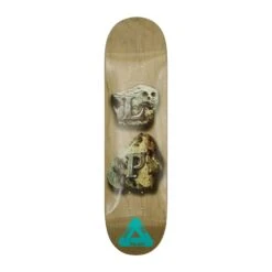 S38 Lucas Deck