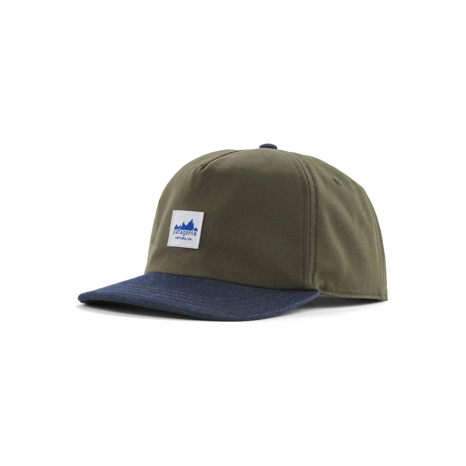Patagonia Range Cap